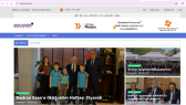 alicansarigul portfolyosu 1