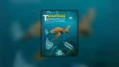 yagmur_altintas1 portfolyosu 2