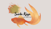 suedakaya portfolyosu 1