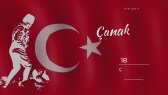 lineajans portfolyosu 1