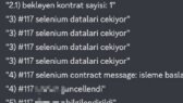 guneybircan portfolyosu 1