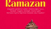 akadirshn7 portfolyosu 2