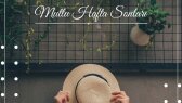 creativeadesign portfolyosu 4