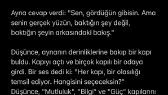 alpcanalparslan portfolyosu 1