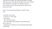 drgoktugozkan portfolyosu 2