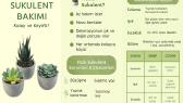 niluferkisik portfolyosu 2