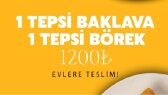 aysungozubek portfolyosu 1
