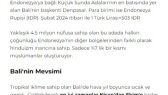 berkankiyak portfolyosu 4