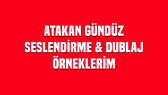 atakangndz portfolyosu 1