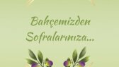 eceguven06 portfolyosu 2