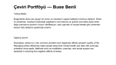 busebenli portfolyosu 1