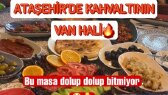 berfinsengul portfolyosu 1