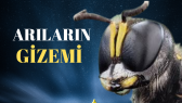 umutakinti portfolyosu 1