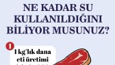 aligurcan portfolyosu 1
