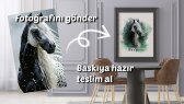 tasarimcadisi portfolyosu 3