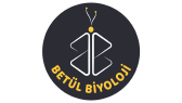 ahmetkalayci portfolyosu 1