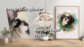tasarimcadisi portfolyosu 4