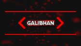 galibhan portfolyosu 2