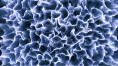 arianc portfolyosu 1