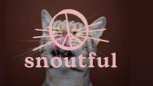 texturedsng portfolyosu 1