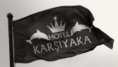 alipekmez portfolyosu 2