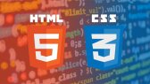 developerbasri portfolyosu 2