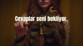 ilaydafebs portfolyosu 1