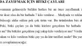 fatihilhan portfolyosu 1