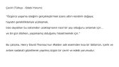 nursenaaykcc portfolyosu 1