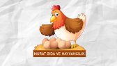 omerfarukgokmen portfolyosu 3