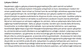 eminebalcii portfolyosu 1
