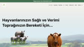 muratcinar58 portfolyosu 2