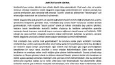 dbilgener portfolyosu 3