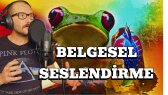 zoguzhanyilmaz portfolyosu 1
