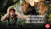 dtolgatufenk portfolyosu 4