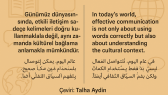 t_aydn portfolyosu 3