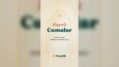 seymanurgulgec portfolyosu 3