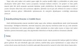 hayrunisaa portfolyosu 1