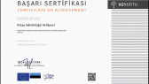 berreayvaz portfolyosu 1