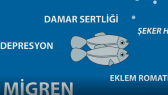 uhudcank portfolyosu 1