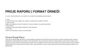 shuaynur portfolyosu 4