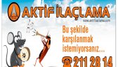 craftgraphic portfolyosu 2