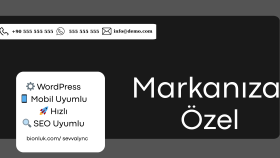 size anahtar teslim profesyonel WordPress sitesi yaparım