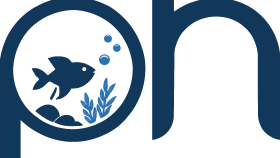 logo çalışması