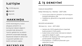 profesyonel cv