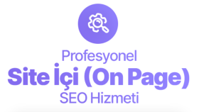 web sitenize kapsamlı iç seo çalışması yaparım
