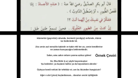 Klasik Metin & Terminoloji Çevirisi