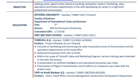 İngilizce ve Türkçe CV hazırlarım