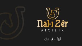 NAL-I ZÊR LOGO TASARIMI