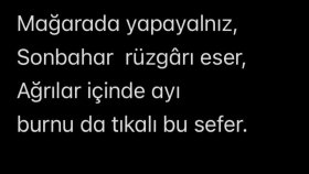 Edebi Çeviri Alanında Final Projesi